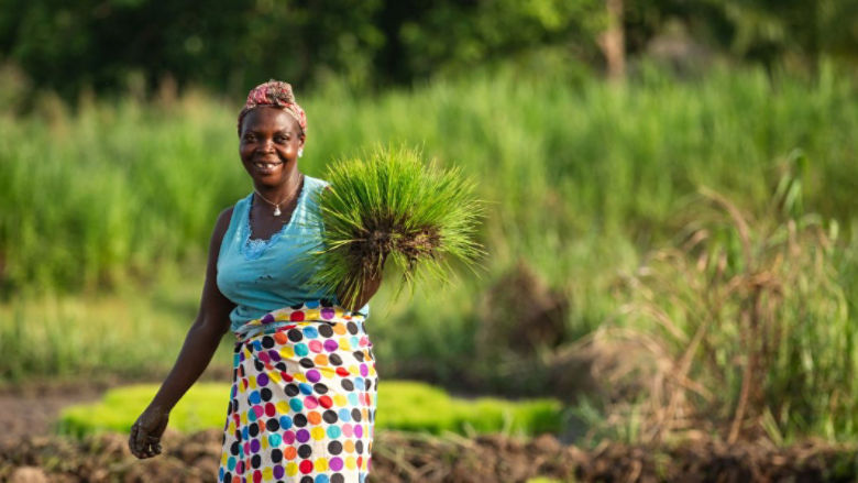 Standing Strong in the Central African Republic 