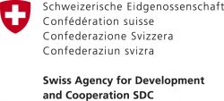 The South Cooperation Department