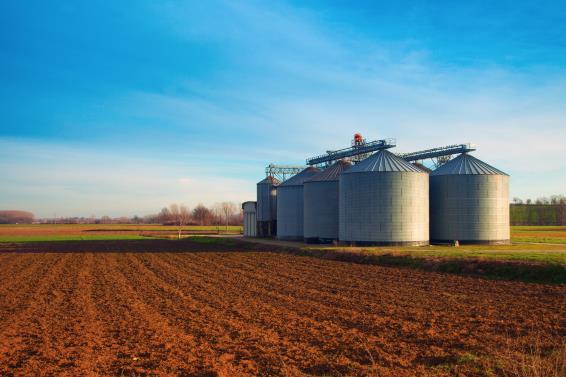 Stocks of principal field crops, March 2024