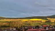 WDR, Fernsehen, Rapsfeld, Frühling