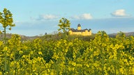 WDR, Fernsehen, Rapsfeld, Frühling