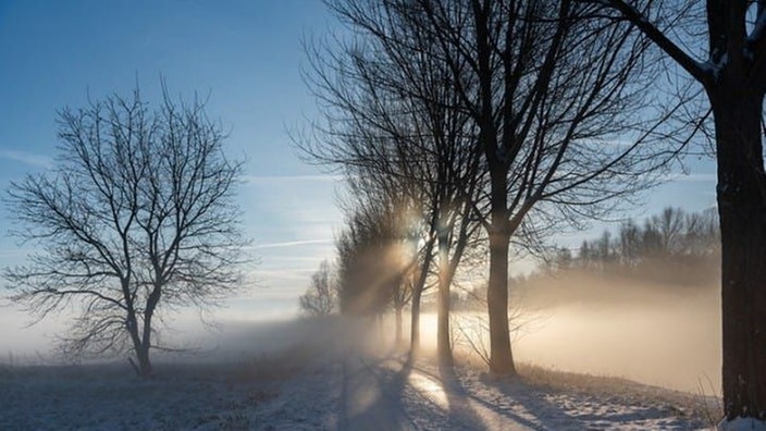 Ihre schönsten Winterspaziergänge