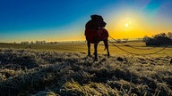 Ihre schönsten Winterspaziergänge