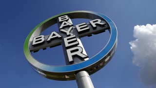 Logo Bayer AG