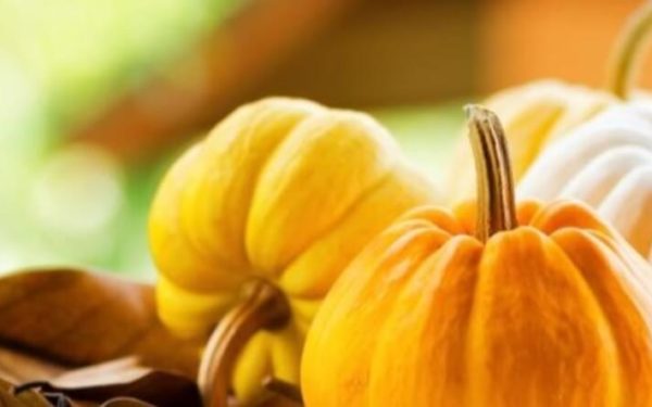 Automne et Santé - Recettes Traditionnelles pour Hydrater et Apaiser vos Poumons