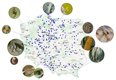 Mapa platforma nowa