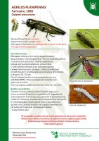 Agrilus planipennis.pdf