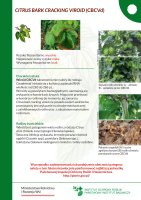 CITRUS BARK CRACKING VIROID.pdf