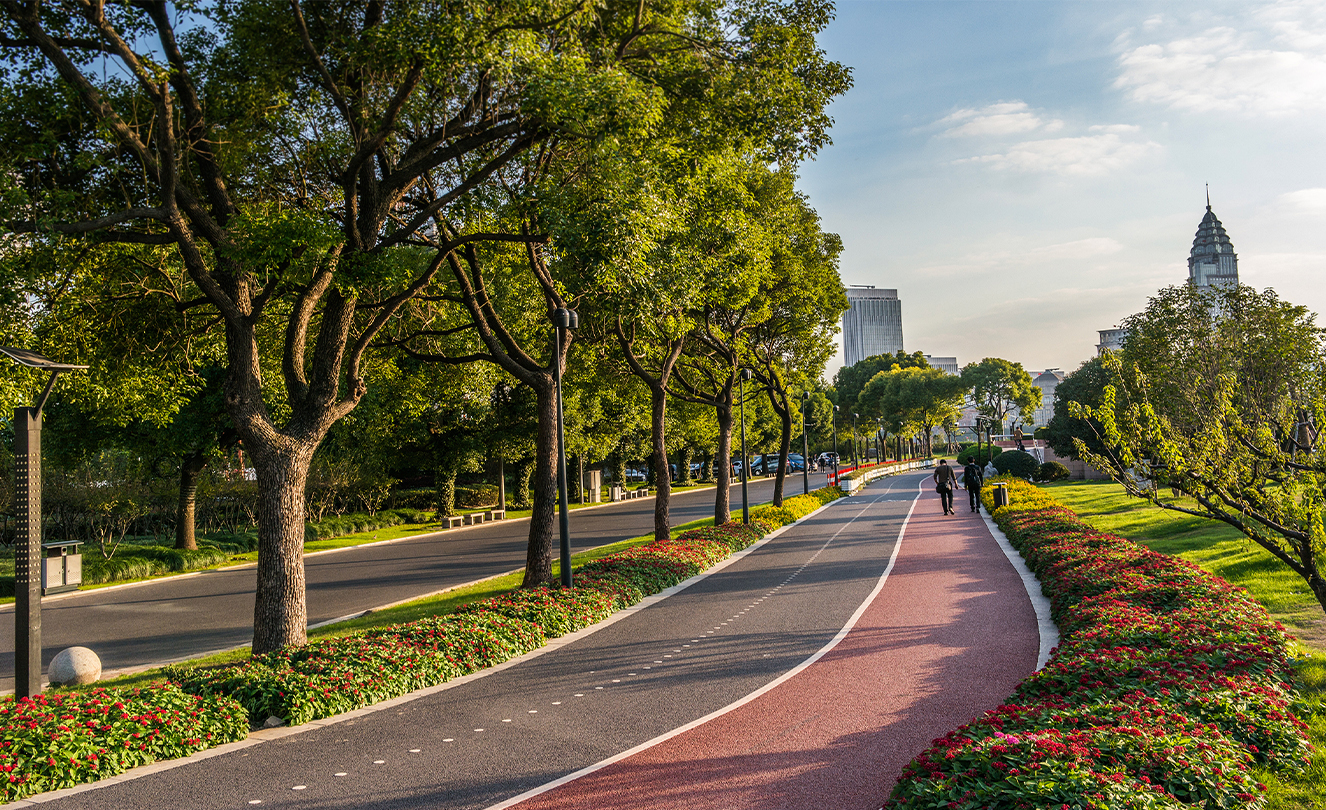 Un percorso pedonale e ciclabile alberato a Shanghai.