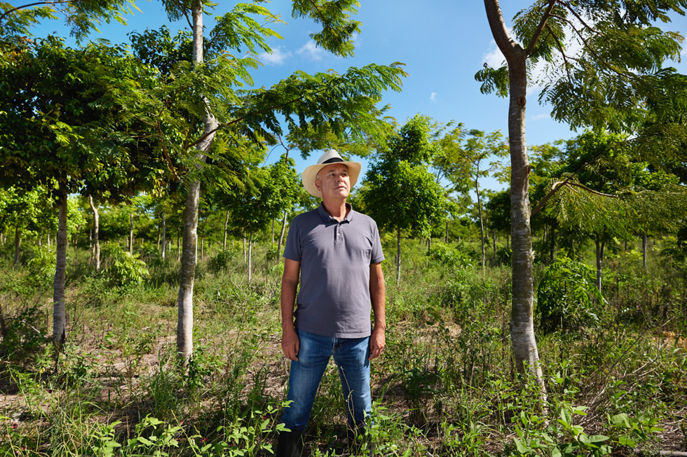 Bruno Mariani in piedi nella foresta atlantica.