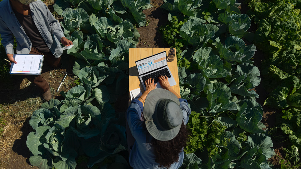 A user works on MacBook Pro outdoors in a field of vegetables.