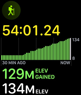 The hiking workout displaying elevation gain.