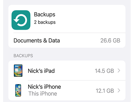 Screen of iCloud Backup data use