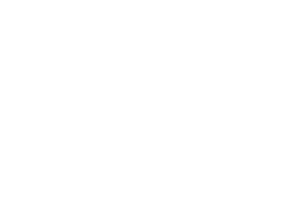 Wallace & Gromit