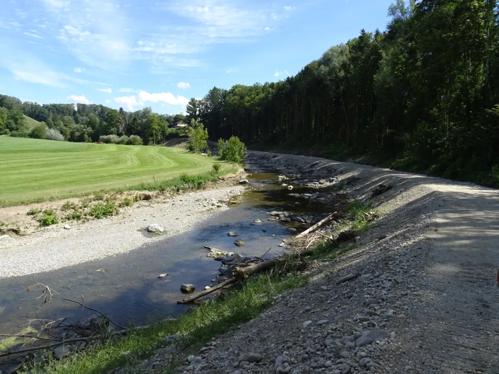 Bach, der am Waldrand entlang fliesst