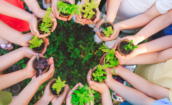 Umwelt-Engagement im BUND