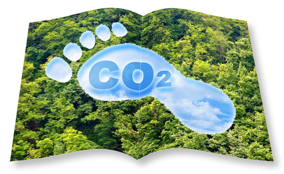 CO2-neutraler Katalogdruck