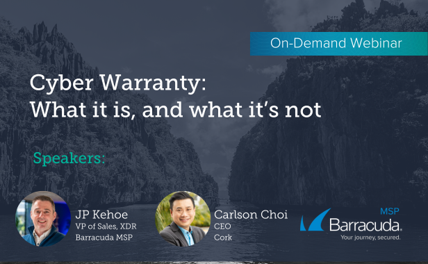 Cyber Warranty: What it is, and what it’s not