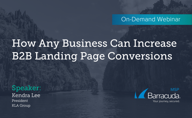 How Any Business Can Increase B2B Landing Page Conversions