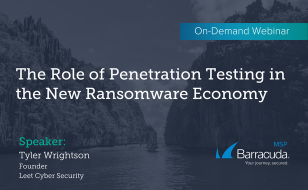 The Role of Penetration Testing in the New Ransomware Economy