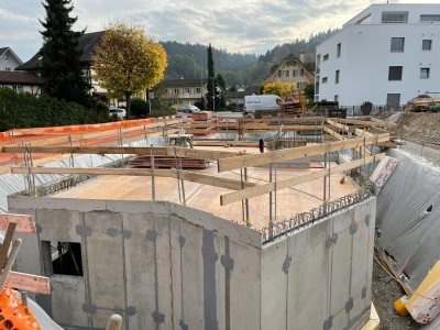 Neubau EFH mit Einzelgarage und Pool, Langnau b. Reiden