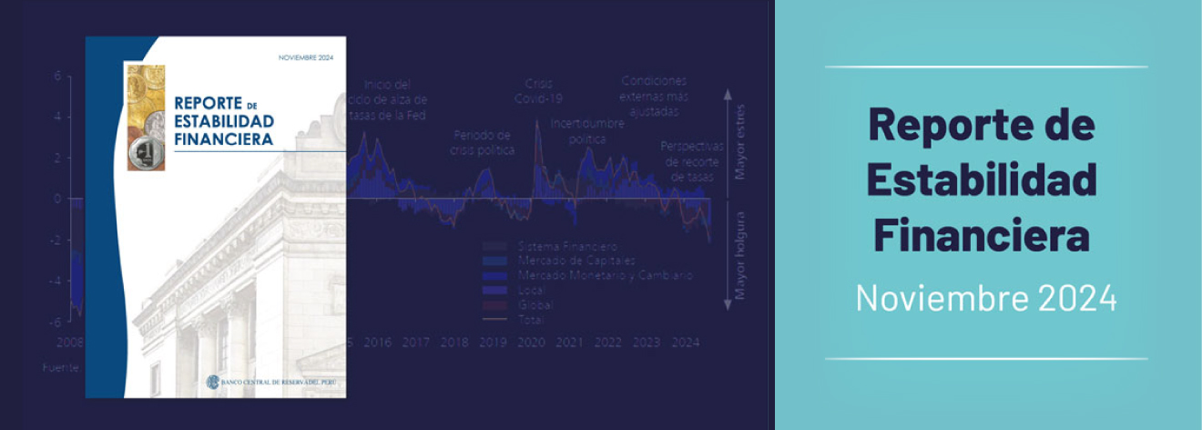 Reporte de Estabilidad Financiera - Noviembre 2024