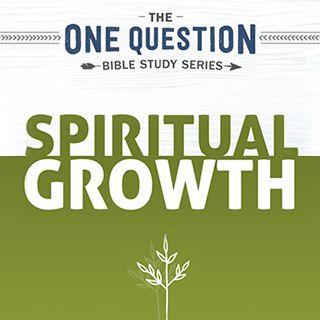 One Question Bible Study: Spiritual Growth