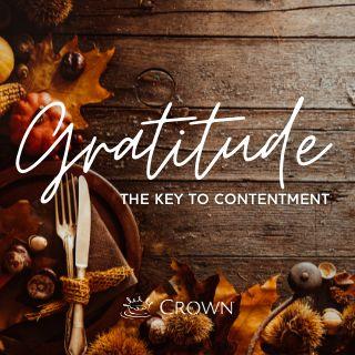 Gratitude: The Key to Contentment 