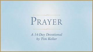 Prayer: A 14-Day Devotional by Tim Keller