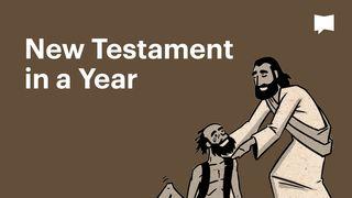 BibleProject | New Testament In One Year