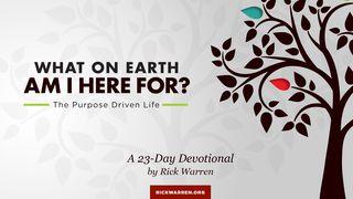 Live Your Calling: What On Earth Am I Here For