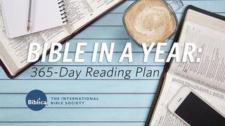 Bible in a Year: 365-Day Reading Plan