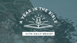 Behold: A Year in the Bible With Daily Grace New Testament Plan