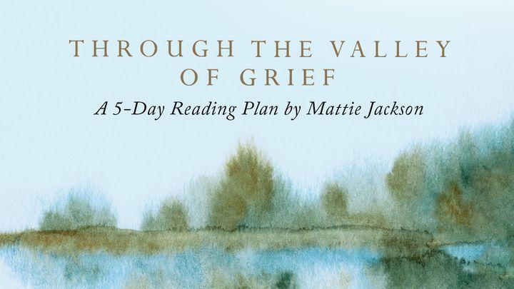 Through the Valley of Grief