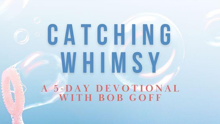 Catching Whimsy: A 5-Day Devotional With Bob Goff