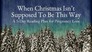 When Christmas Isn’t Supposed to Be This Way: A 5-Day Reading Plan for Pregnancy Loss