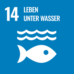 14Leben unter Wasser