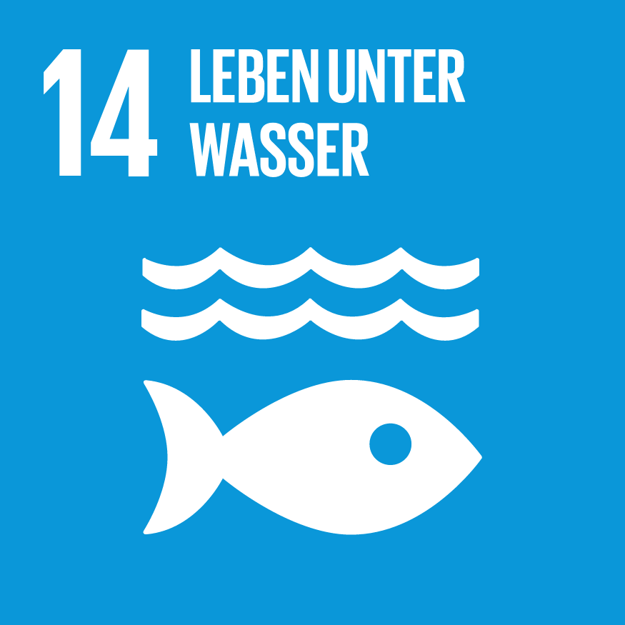 SDG 14: Leben unter Wasser