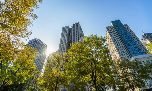 Business towers and Green leaves