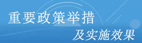 重要政策举措及实施效果