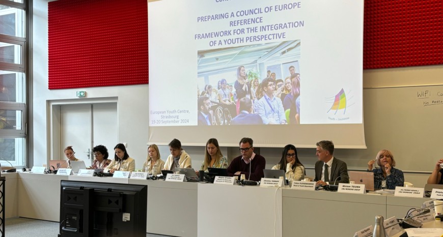 Including youth perspective and participation across the Council of Europe’ work