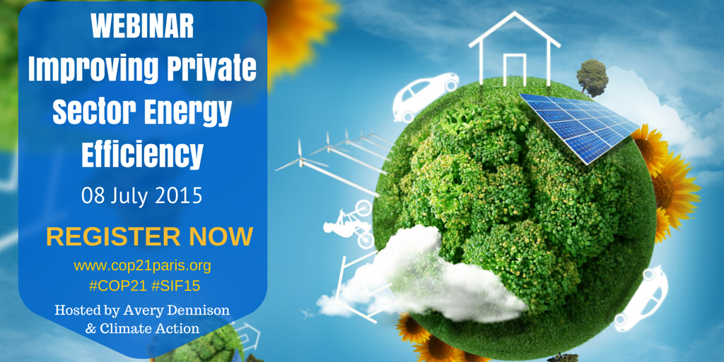 Improving Private Sector Energy Efficiency