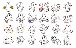 rabbit