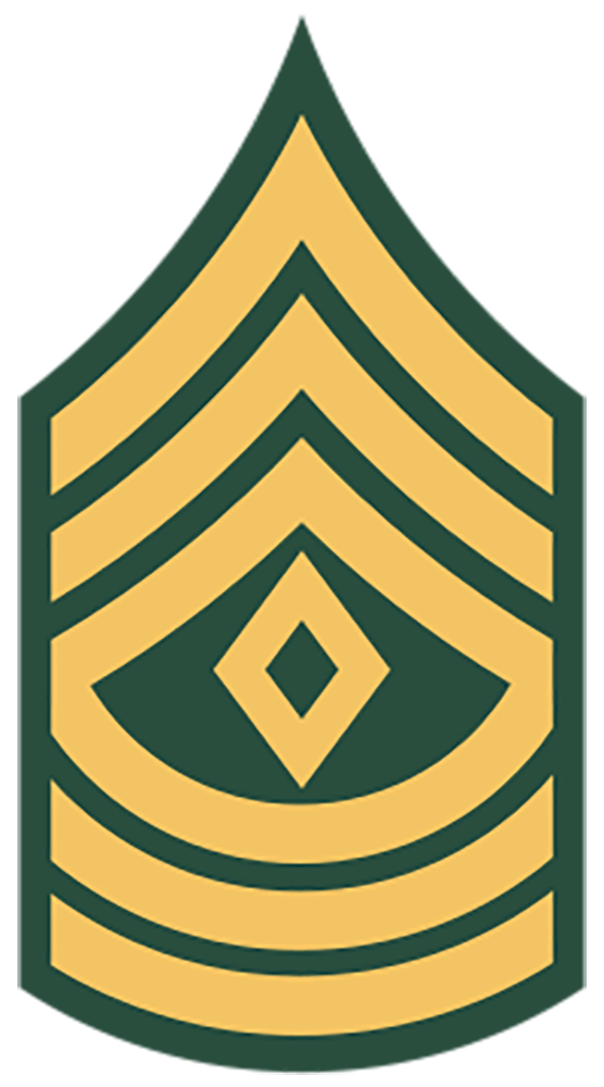 E-8 First Sergeant