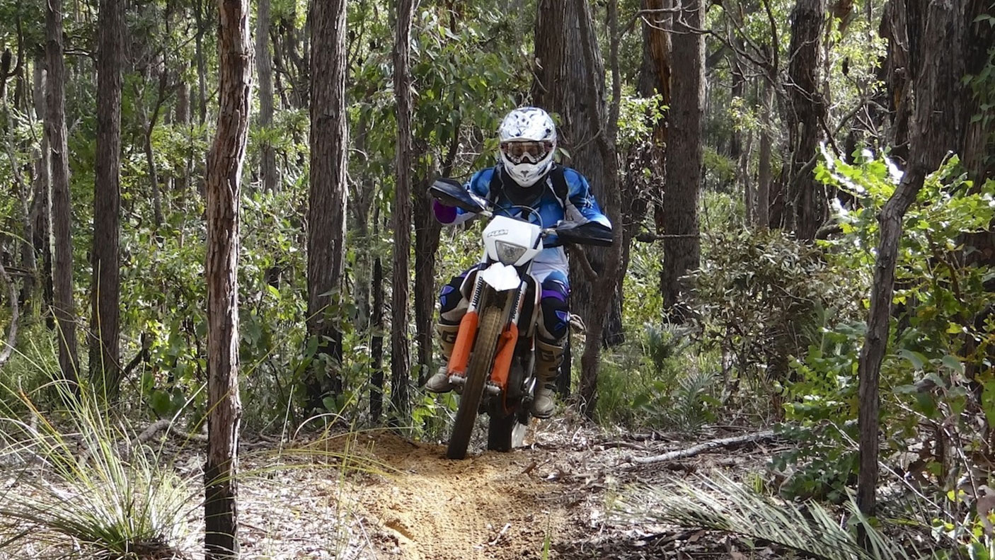 A person on a trail bike rides through the forest