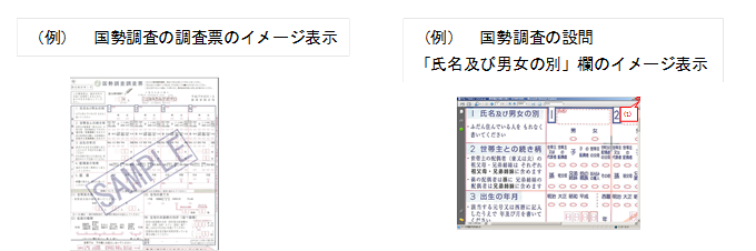 調査票イメージの表示画面例