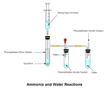 Ammonia and Water Reactions