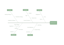 Cause and Effect Diagram