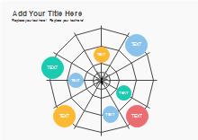 Colorful Spider Map Graphic Organizer