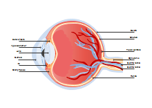 Eye Diagram